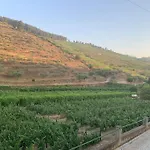 Douro Vallée