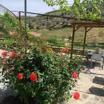 Douro Vallée