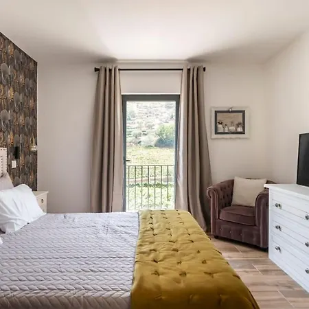 Villa Douro Vallée *