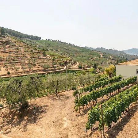 Вилла Valadouro Douro Vallee Espinhosa