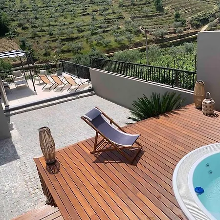 Villa Douro Vallée Espinhosa