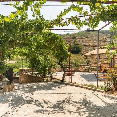 Valadouro Douro Vallee