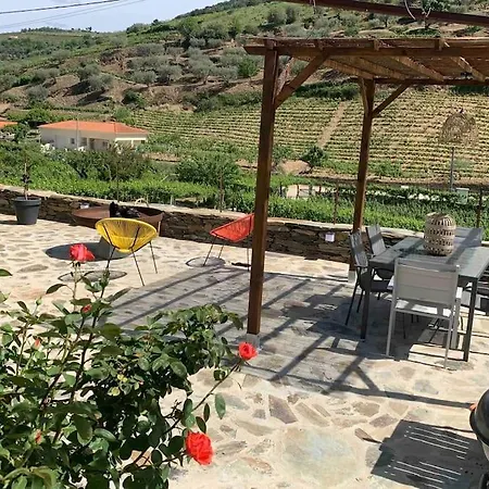 Villa Douro Vallée