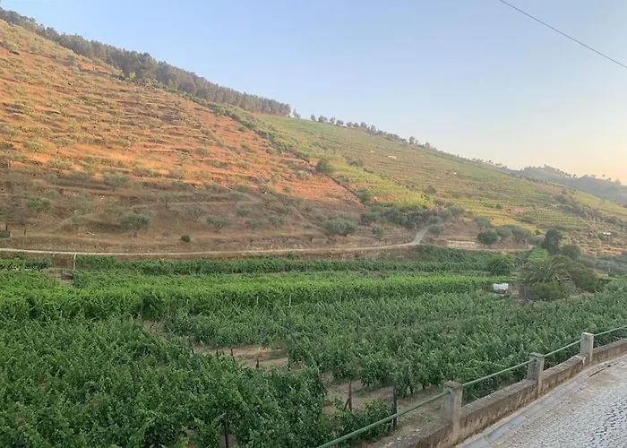 Valadouro Douro Vallee