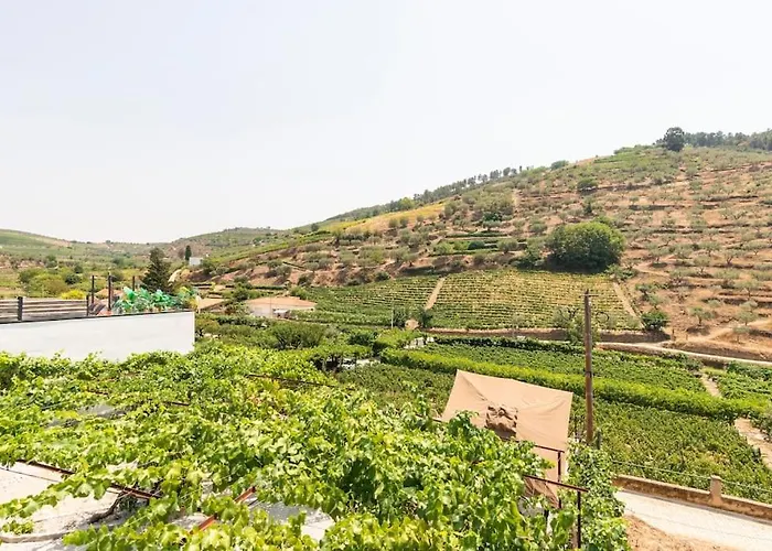 Valadouro Douro Vallee Espinhosa